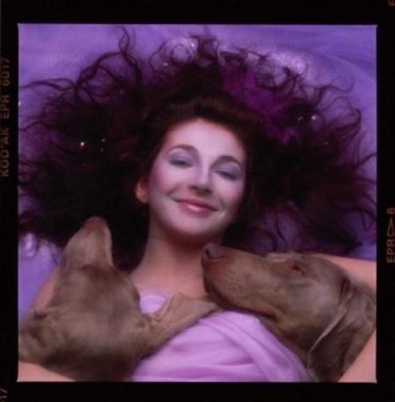 Featured image of post Kate Bush - Hounds Of Love