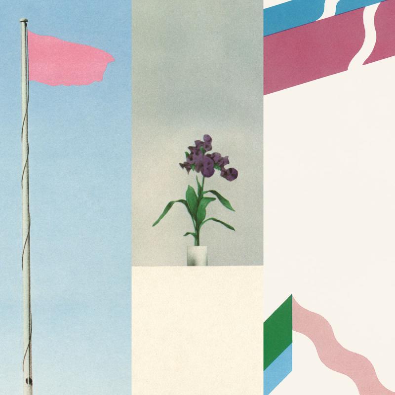 Featured image of post Wire: Pink Flag